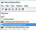 NetworkOpenedFiles screenshot