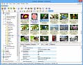 XnView screenshot